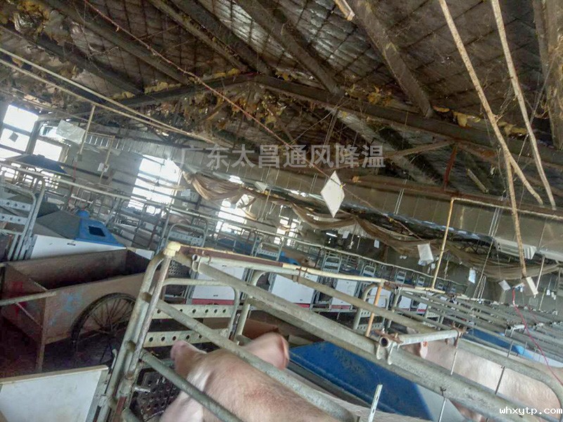 养殖场通风降温常用设备3 养殖场通风降温常用设备3