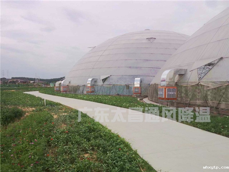 温室大棚通风降温设备