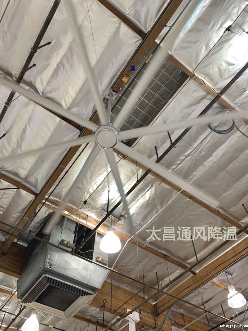 扇机组合 扇机组合