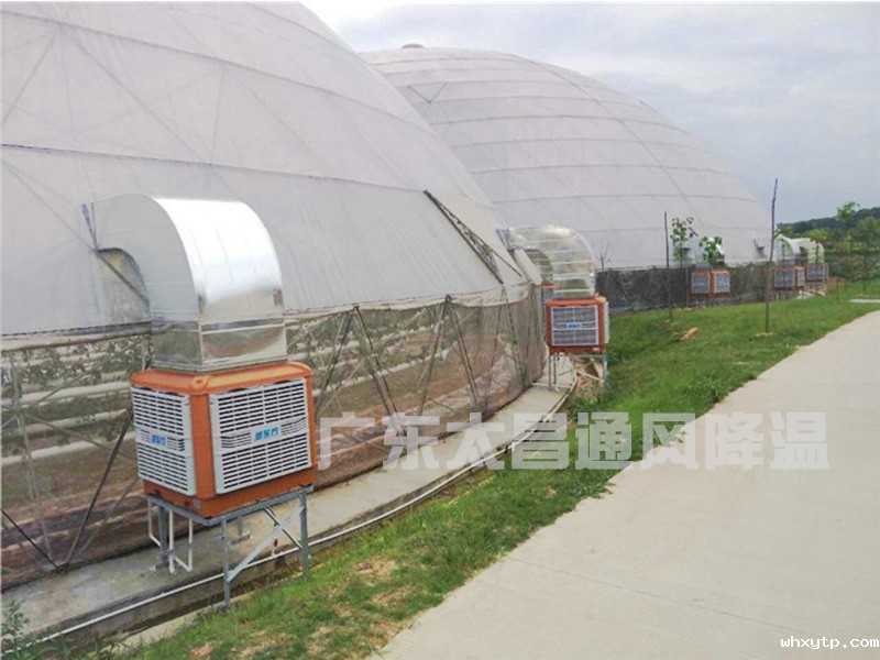 温室大棚通风降温设备