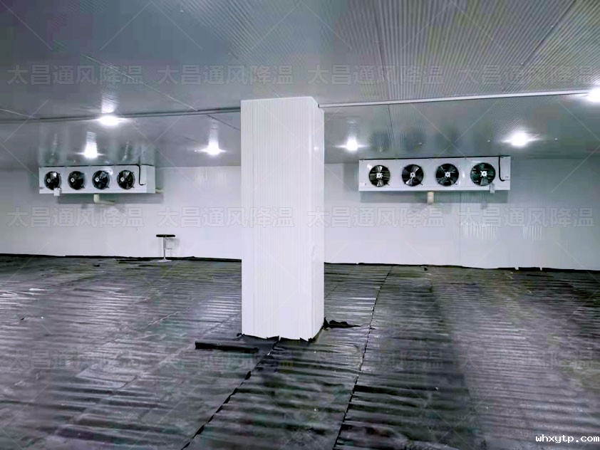 生鲜冷库、物流冷库冷链为农产品保驾护航