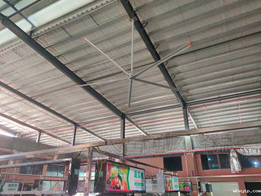 菜市场工业大风扇通风降温系统，舒适静音，四季通用