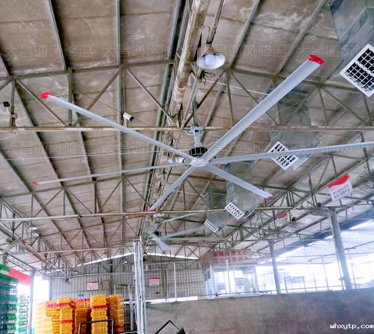 龙舟雨季,hth体育优惠活动永磁工业大风扇帮助车间做好通风除湿