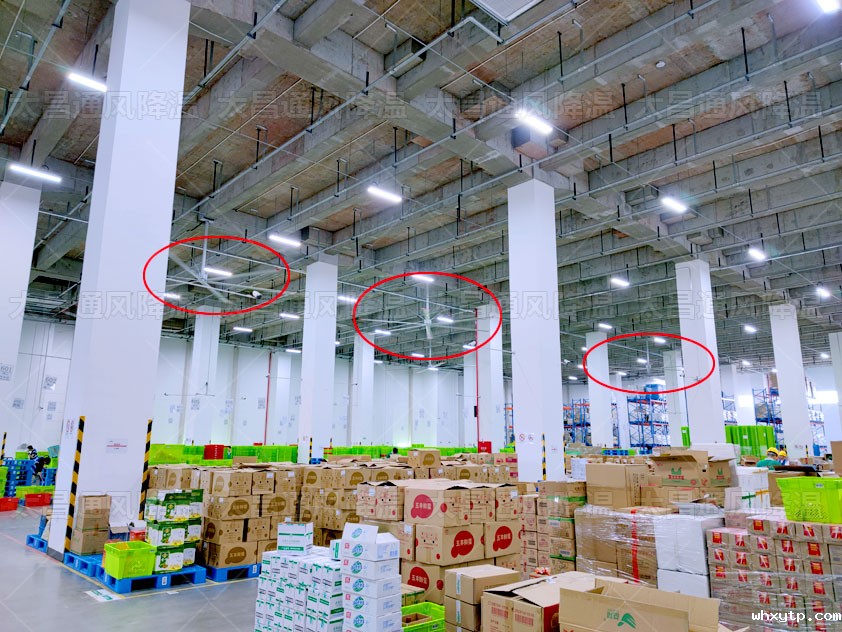 工业大风扇 (6).jpg