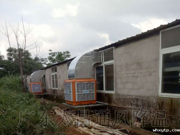饲养厂|养猪场环保空调通风降温案例