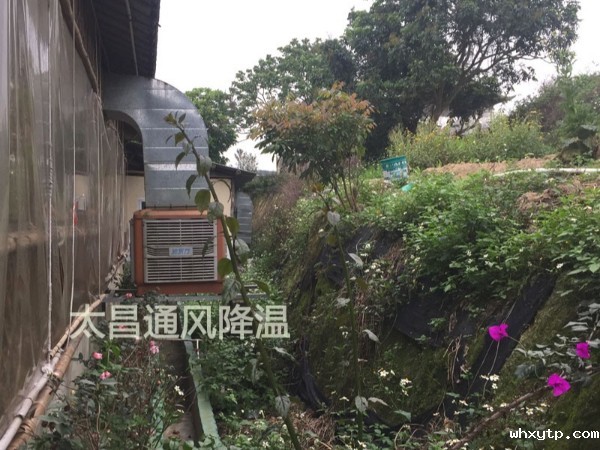 天气太热?环保空调为你的餐厅守护清凉