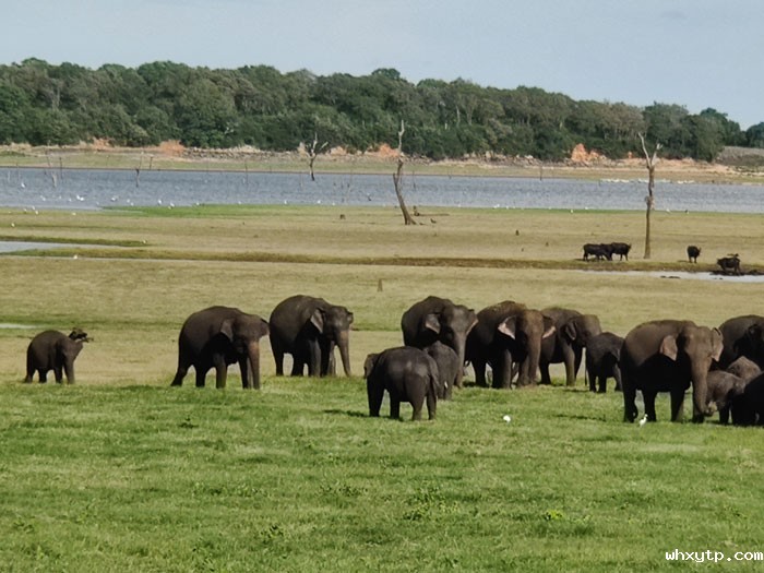 59798232f7fad117a0d9964529e