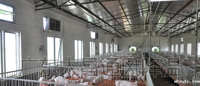 养殖场通风降温